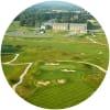 Image for Castlemartyr Resort course