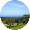 Image for Golf Club Punta Ala course