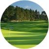 Image for Forfar Golf Club course