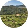 Image for Golf Son Termes course