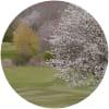 Image for Golfclub Cochem - Mosel course