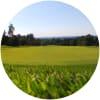 Image for Guildford Golf Club course