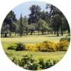 Image for La Dehesa Golf Club - Par 3 course