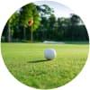 Image for La Grande Romanie course