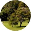 Image for Lisbon Sports Club course