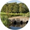 Image for Luttrellstown Castle Resort course