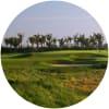 Image for Mission Hills Golf Club - Haikou - Meadow Links course