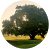 Image for Dehesa Montenmedio - Golf & Country Club course