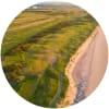 Image for Montrose Golf Links - 1562 course