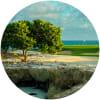 Image for Punta Espada Golf Course course