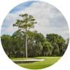 Image for Queen's Harbour Yacht & Country Club course