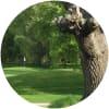 Image for Rioja Alta Golf Club course