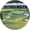 Image for Royal Auckland Golf Club course