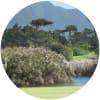 Image for Royal Cape Golf Club course