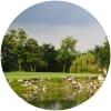 Image for Royal Ratchaburi Golf Club course