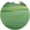 Image for Strathendrick Golf Club course