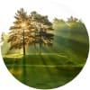 Image for Sunningdale Heath course