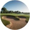Image for T Golf Palma course