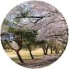 Image for Tsukuba-Tokyu Golf Club course