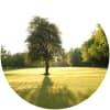Image for Tuam Golf Club course