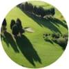 Image for Warley Park Golf Club course