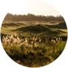 Image for Windross Farm Golf Course course