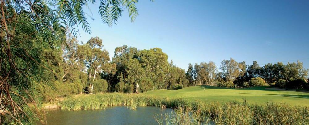 Golf course - Penina Sir Henry Cotton Championship Course